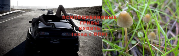 дживик Володарск