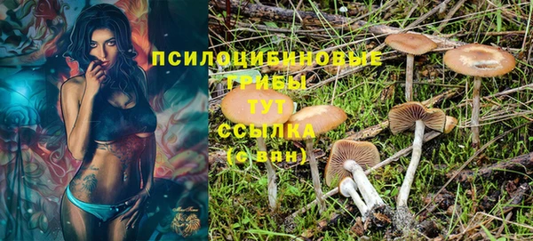 мдпв Волоколамск