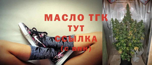 дживик Володарск