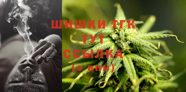 дживик Володарск