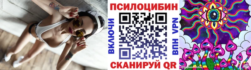 Псилоцибиновые грибы Magic Shrooms  MEGA ССЫЛКА  Хасавюрт 